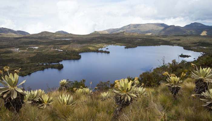 Seis interesantes actividades para vacaciones