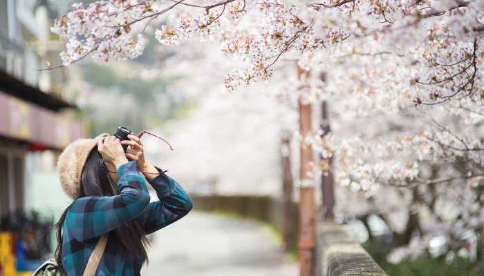 Becas Monbukagakusho con destino Japón