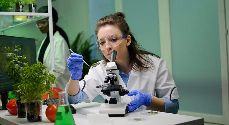 Carreras relacionadas con la Biología: de la Ingeniería de Alimentos a la Botánica