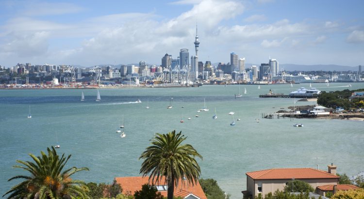 Nuevas oportunidades para estudiar un grado en Nueva Zelanda