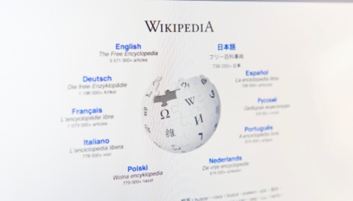 Vista de la Wikipedia | Autor: Jen Grantham, Getty Images