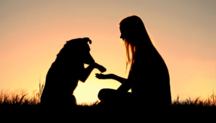 Mascotas y niños, un vínculo más allá del desarrollo emocional