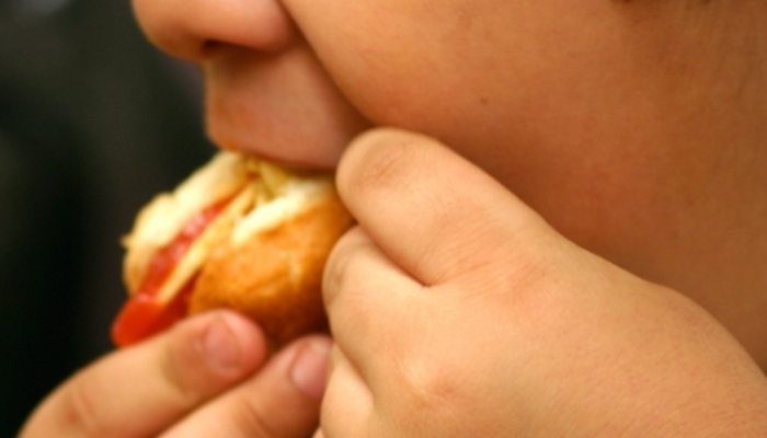 Una alimentación saludable y una vida activa, principales herramientas para acabar con la obesidad infantil