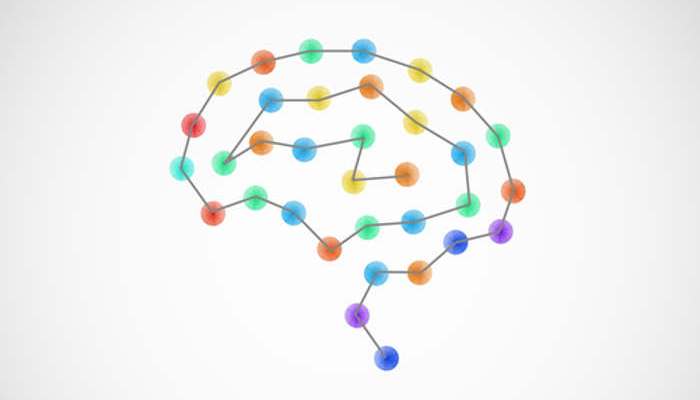 Semana Mundial del Cerebro: actividades para descubrir todo sobre este órgano vital