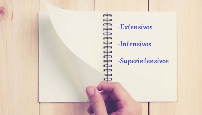 Idiomas en formato exprés: extensivos, intensivos y superintensivos