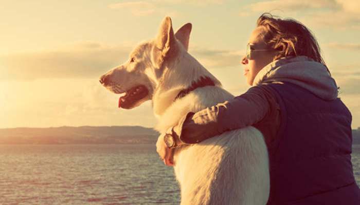 Mascotas y vida sana: una relación directamente proporcional