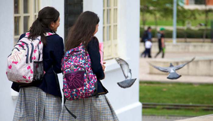 Los colegios unisex, ¿aportan algún beneficio respecto a la educación mixta?