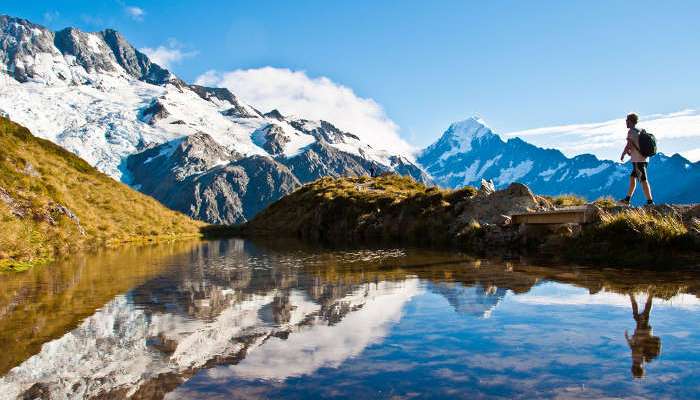 Cómo solicitar una beca para estudiar en Nueva Zelanda