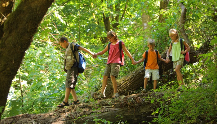 8 consejos para elegir el mejor campamento de verano