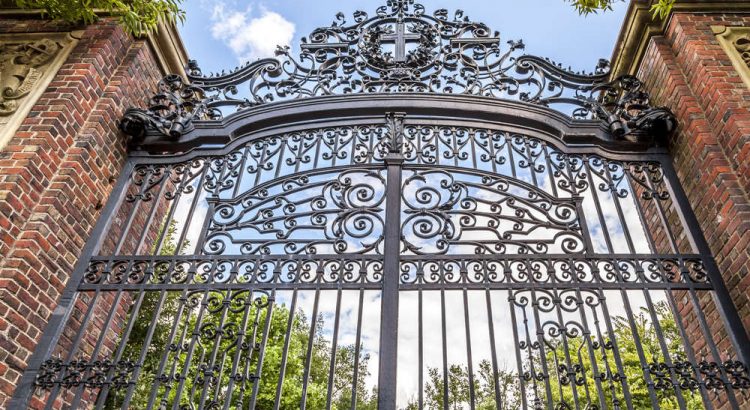 Estudiar en Harvard: llegan las becas Radcliffe para intelectuales, artistas y científicos