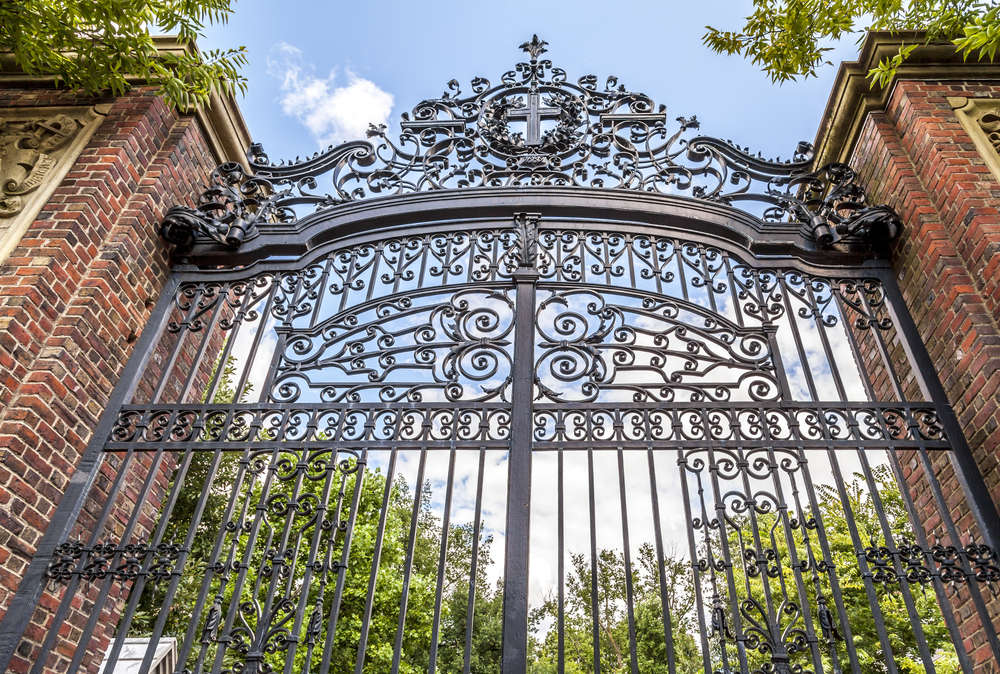 Llegan las becas Radcliffe: 9 meses para investigar en Harvard