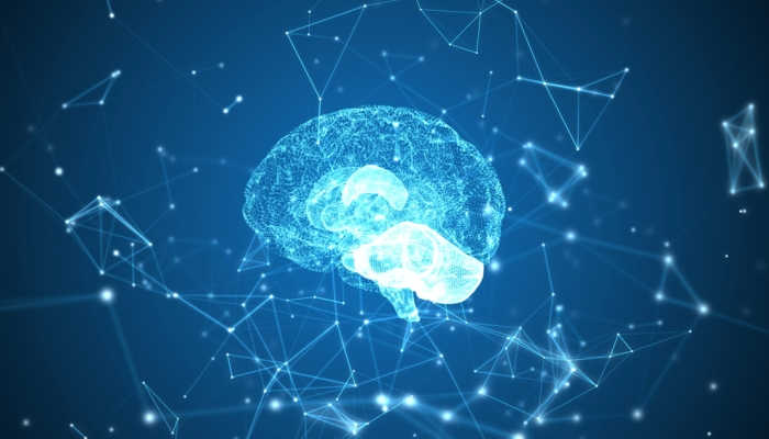 Neurocientíficos de la Universidad Tecnológica de Dresde revelan cómo la corteza motora del cerebro y los gestos ayudan a traducir idiomas