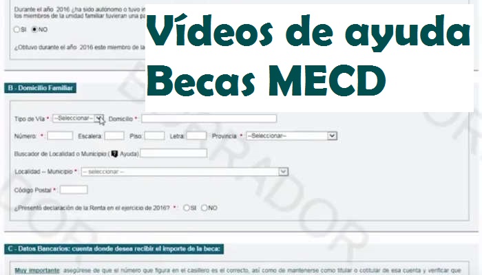 ¿Cómo solicitar una beca MECD? Vídeos de ayuda para que no te pierdas