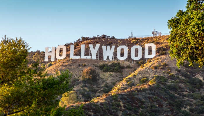 Hollywood busca a los mejores guionistas