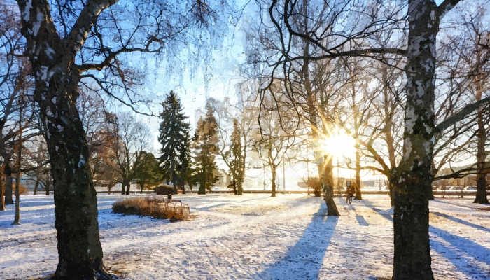 Becas para estudiar un máster en Turku, la ciudad oficial de la Navidad en Finlandia