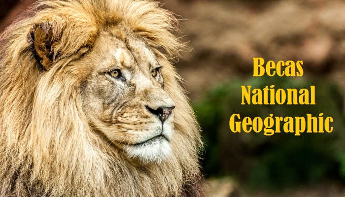 Becas National Geographic para jóvenes con alma de explorador