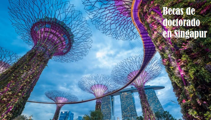Becas para hacer un doctorado en Singapur: ¿te animas?