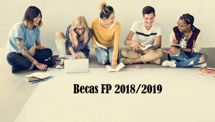 Becas para estudiar FP: ya están aquí las de Madrid y avance de otras ayudas que llegan