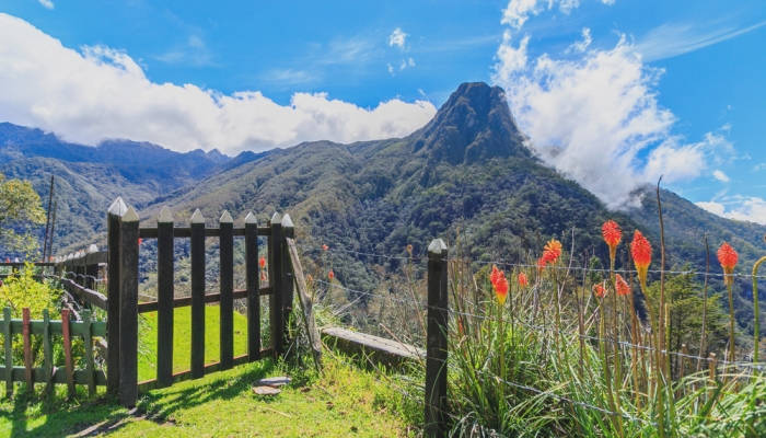 Voluntariado en parques naturales de Colombia: Vive la naturaleza y aporta tu granito de arena