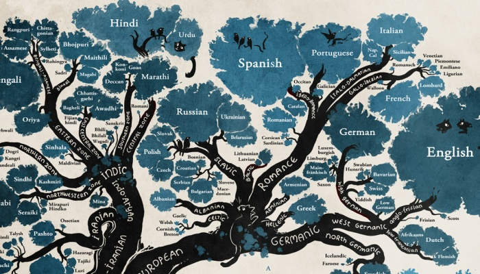 Las mejores infografías de idiomas: arte e información al primer golpe de vista