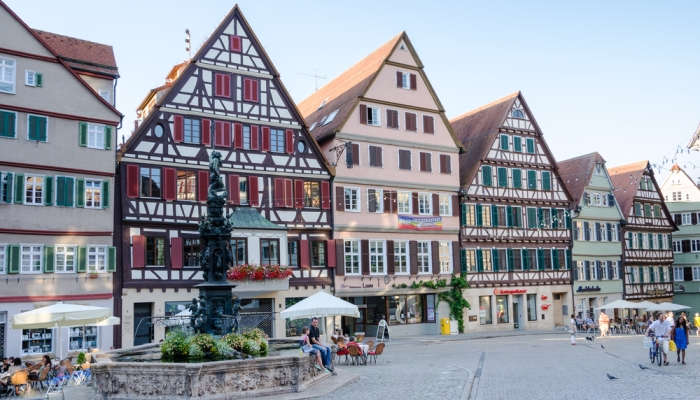 To be or not Tübingen: becas para investigar y dar clase en Alemania