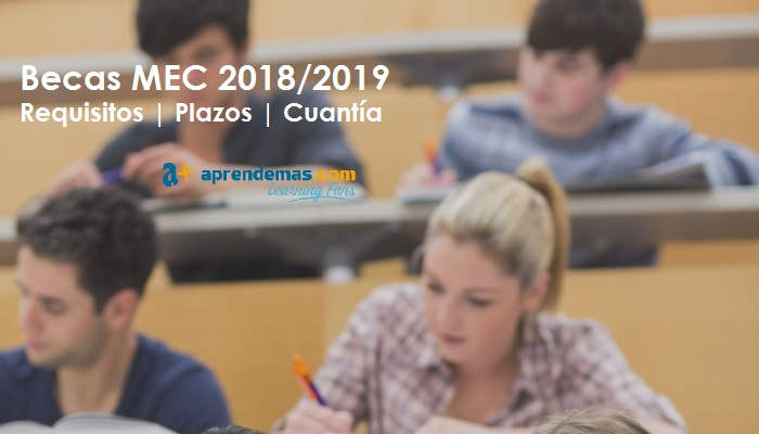 Becas MEC 2018-2019: Preguntas y respuestas sobre las ayudas para estudios postobligatorios