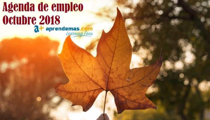 Agenda de Empleo en Octubre: ferias y procesos de selección que llegan este otoño