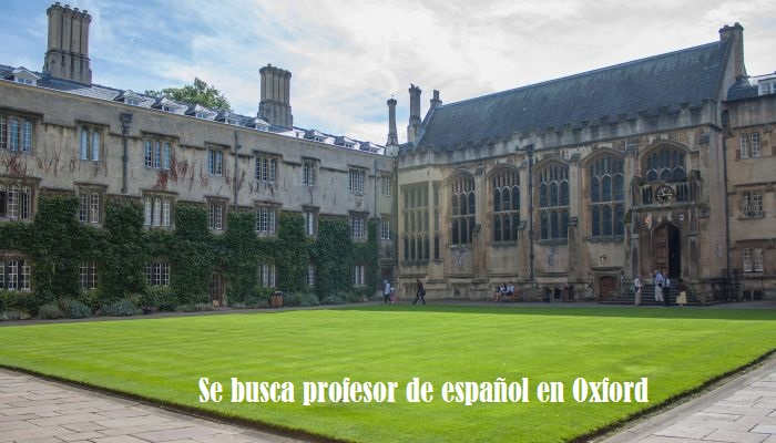 Se busca profesor de español para dar clase en Oxford