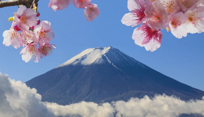 Becas Vulcanus de prácticas en Japón con todos los gastos pagados