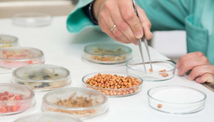 Llegan becas para que estudiantes hagan prácticas en un laboratorio de EE.UU.