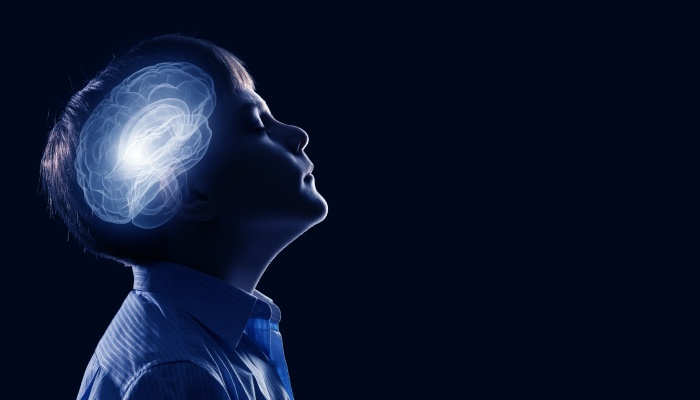 ¿Qué cantidad de información necesita la mente humana para aprender la lengua materna?