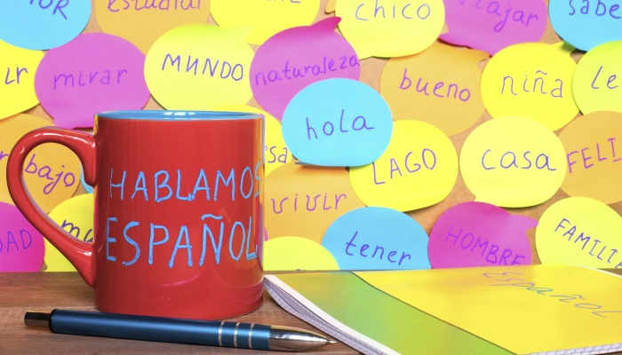 El español es la quinta lengua más hablada en la UE, junto al polaco. Por delante se sitúan el alemán, el inglés, el italiano y el francés.