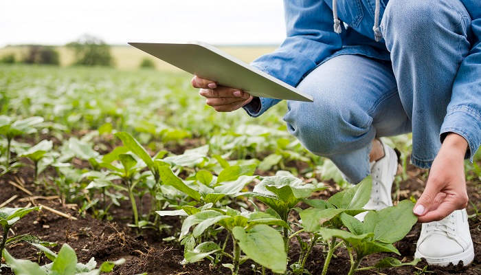 Cómo formarse para trabajar en el Medio Rural: cursos de Conservación, Gestión Forestal y Paisajismo