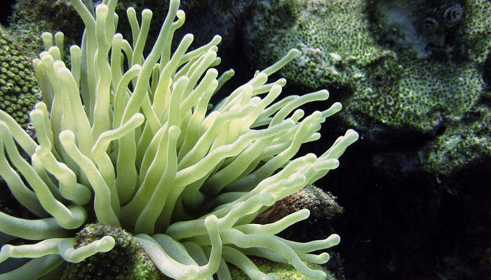 La Fundación Biodiversidad convoca 22 becas de formación dotadas con hasta 10.000 euros