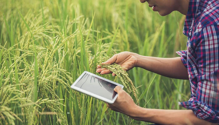El Ministerio de Agricultura lanza 8 cursos gratuitos para llevar la tecnología al campo