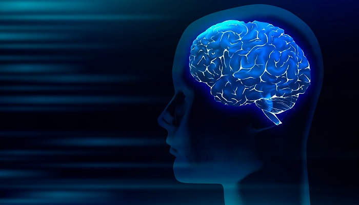 El aprendizaje permanente puede retrasar el envejecimiento del cerebro, según la Universidad de Zurich