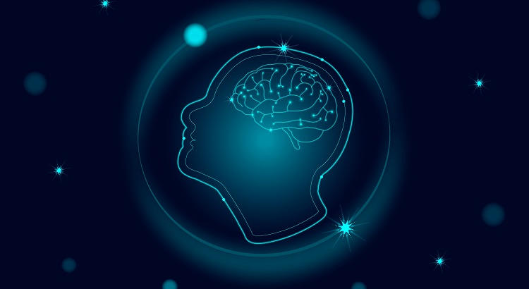 El desarrollo del cerebro en la juventud es clave al generar recuerdos, según investigadores de Northwestern University
