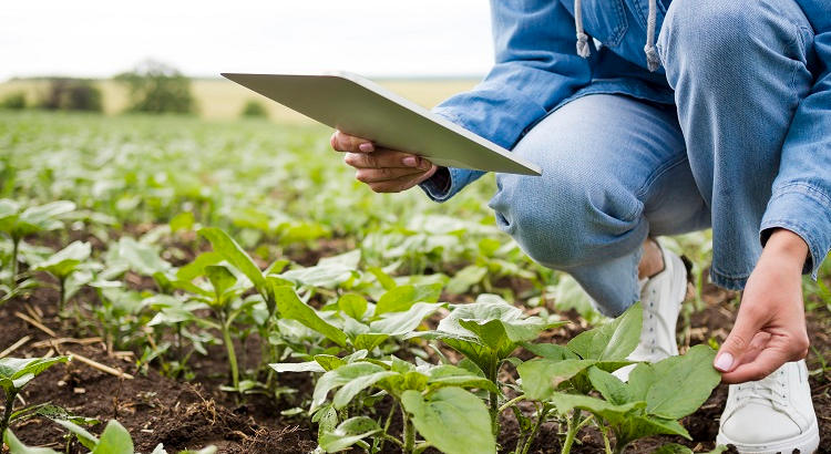 Agricultura y Ganadería Ecológica: cursos que imparte MasterD para especializarse en el sector primario