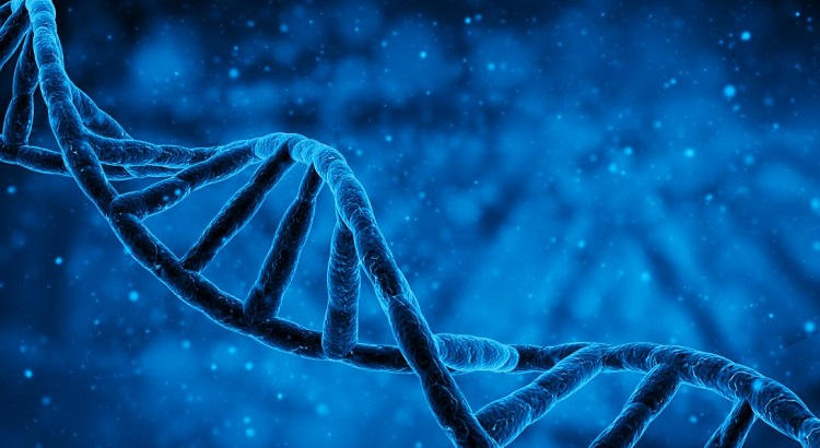 Científicos de la Universidad de Edimburgo identifican genes asociados con la dislexia