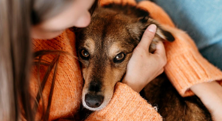 El estrés de la vida cotidiana es más fácil de sobrellevar con una mascota. En la foto: chica abrazando a su perro. 
