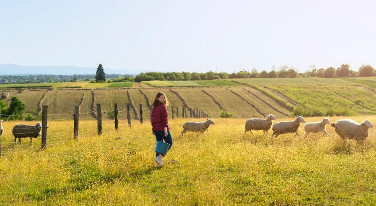 De prácticas al campo: el Ministerio de Agricultura lanza Cultiva 2023 para jóvenes agricultores y ganaderos