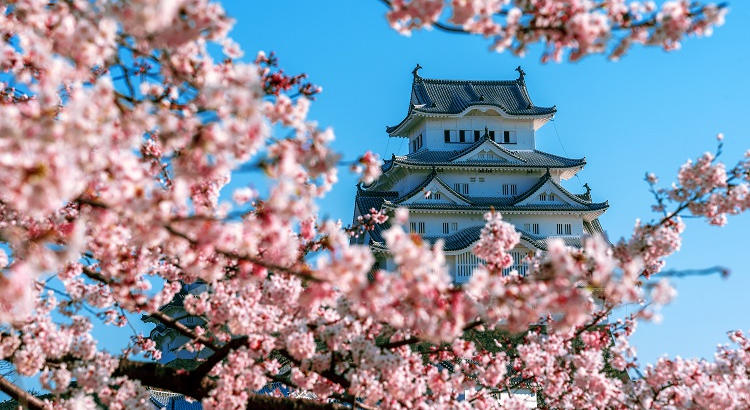 Las becas Monbukagakusho con destino Japón ya están aquí para estudiantes y profesores