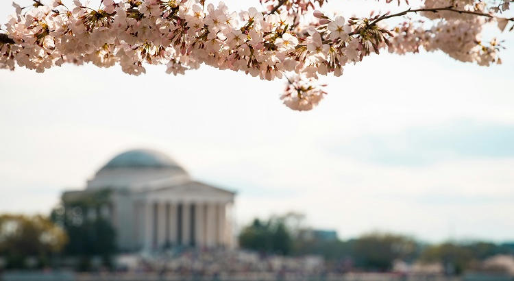 La Comisión Fulbright abre las becas para ampliación de estudios en Estados Unidos