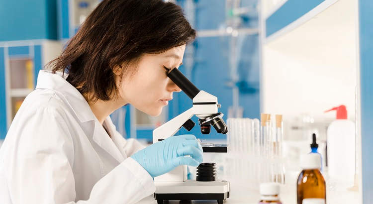 Másteres TOP de MITLAB en 2025/2026: de Microbiología a Farmacia y Alimentación