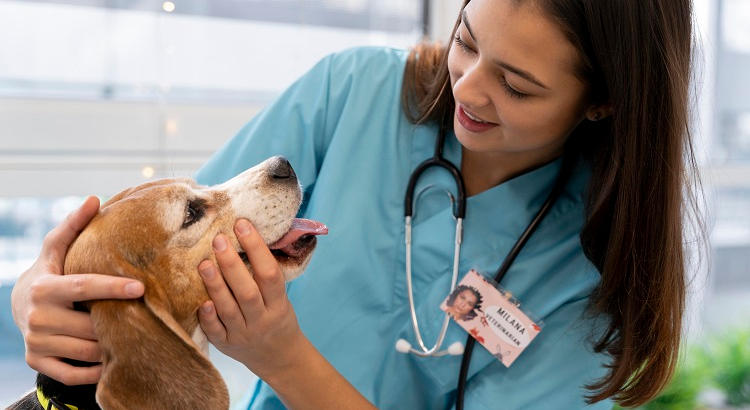 Veterinaria atendiendo a un paciente canino. | freepik