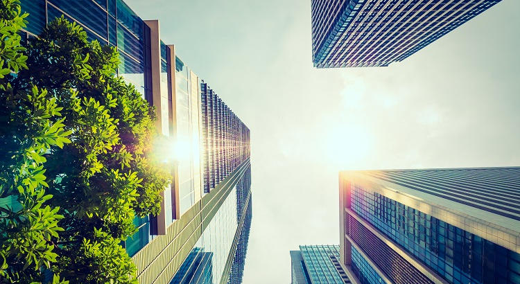 La nueva generación de líderes se forma en CMI: ética, sostenibilidad e impacto