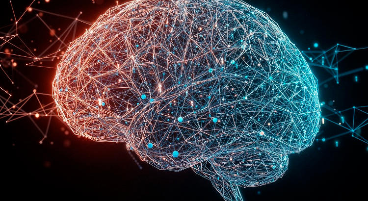 Tu cerebro se mantiene joven cuando hablas más de un idioma, según un estudio europeo. | Foto: freepik