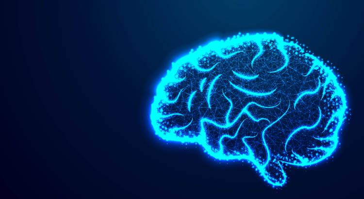 Aprender idiomas en la etapa adulta: el hábito que "blinda" tu mente y frena el envejecimiento cerebral