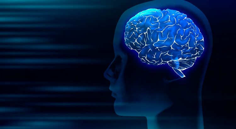 El cerebro infantil ya tiene definida su “zona del lenguaje” a los 4 años según el MIT