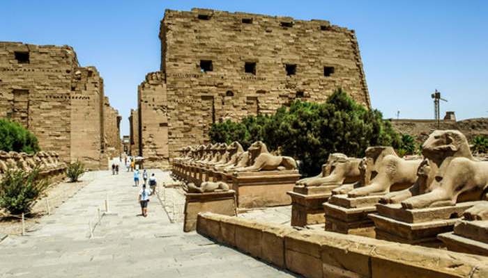 Becas Icetex para estudiar en Egipto
